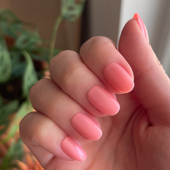 Pen Pal - Press-On | Short | Round showing natural hand with short round bubblegum pink false nails indoors with plant background