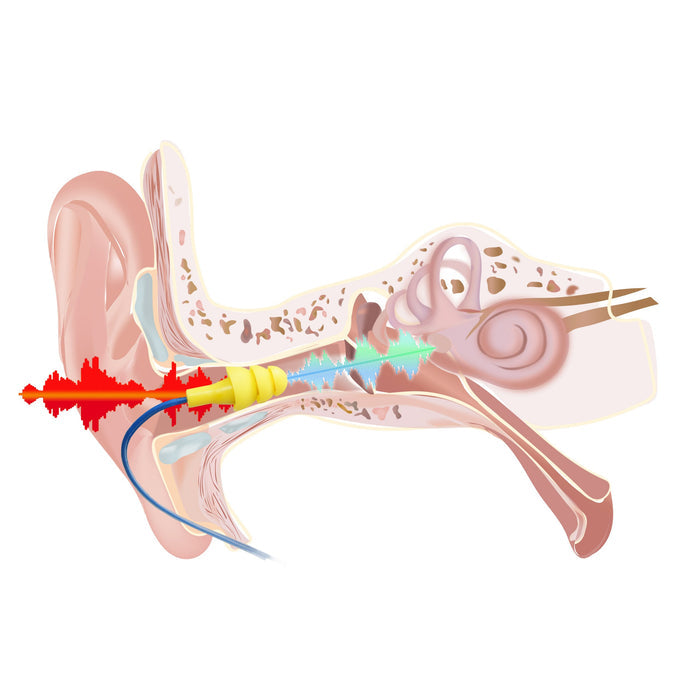 inserting Plugfones earplugs with earphones for work