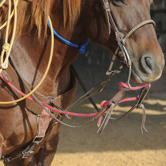 Close-up of a horse shown with the Premium Jerk Line attached to the bit for use in calf roping.