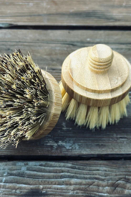 Replacement Brush
