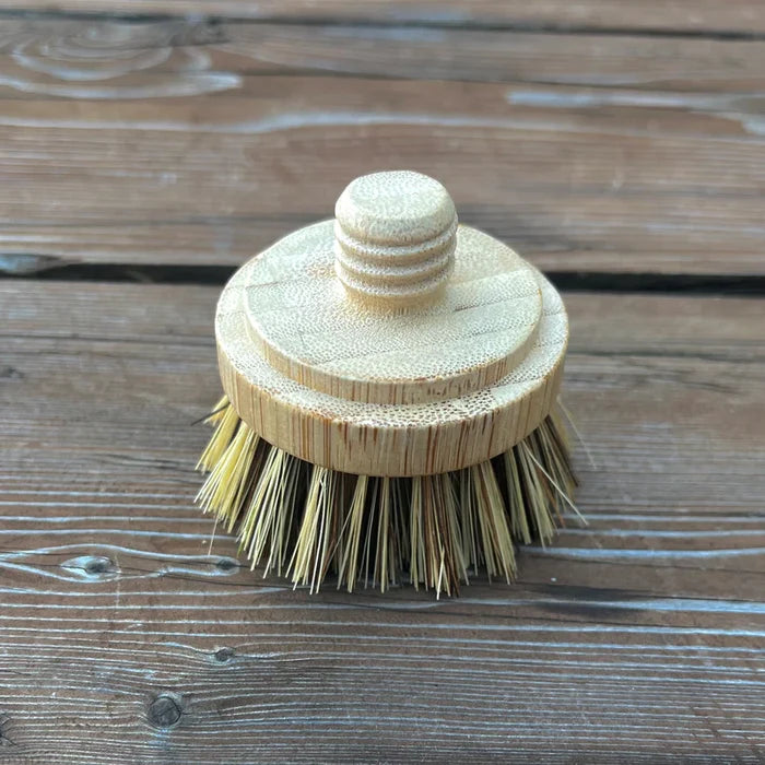 Replacement Brush