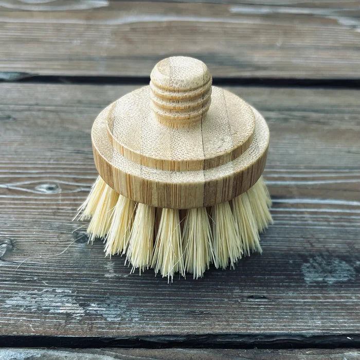 Replacement Brush