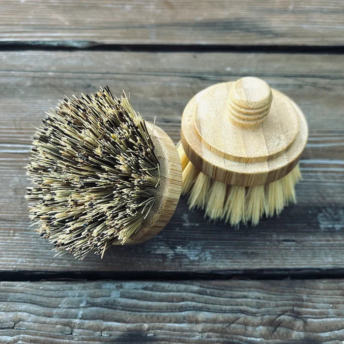 Replacement Brush