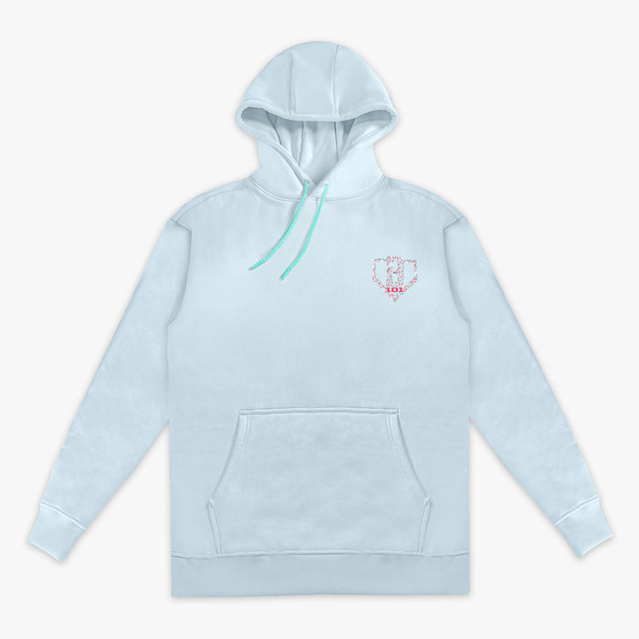 Adult model wearing hoodie with "Safe N Sweet" design