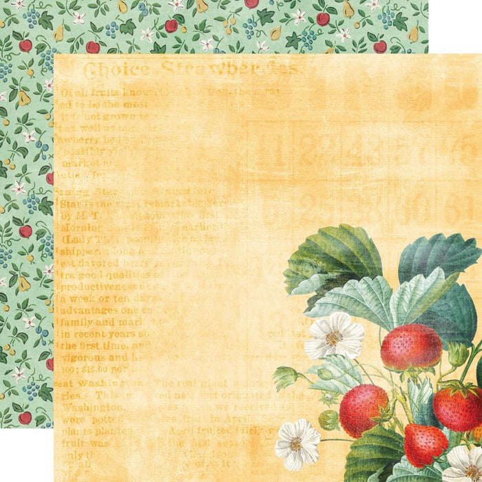 Simple Stories - Double-Sided Cardstock 12"X12" - Single Sheets - Simple Vintage Berry Fields. Start your project off right with the perfect paper for scrapbook pages, greeting cards, bookmarks, gift cards, mixed media and much more! Available at Embellish Away located in Bowmanville Ontario Canada. Garden Fresh