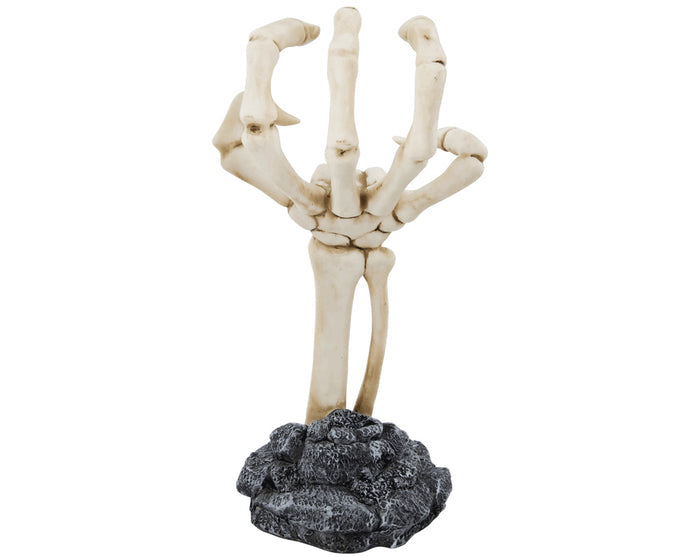Skeleton Hand Display Back