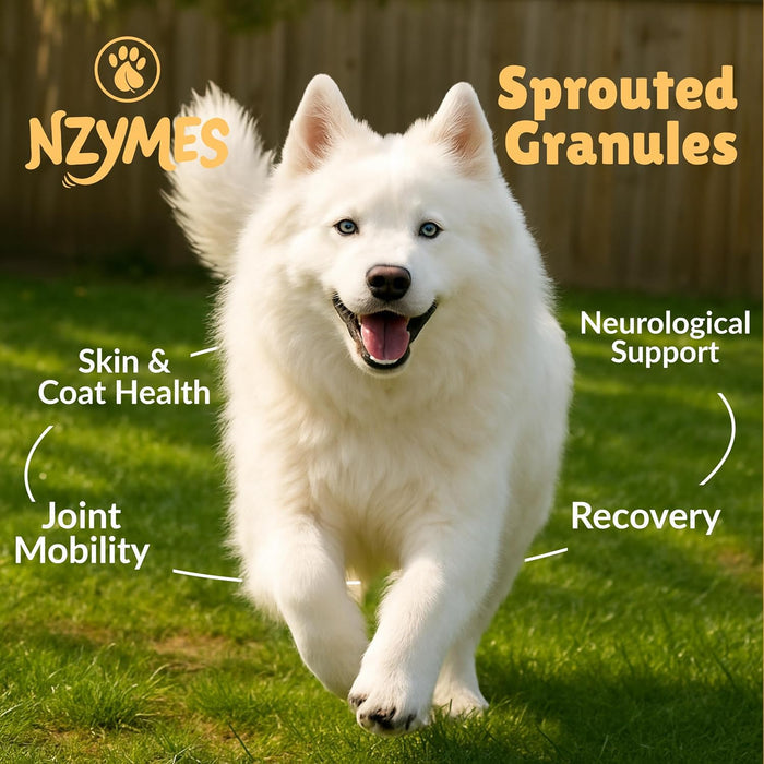 Sprouted Granules