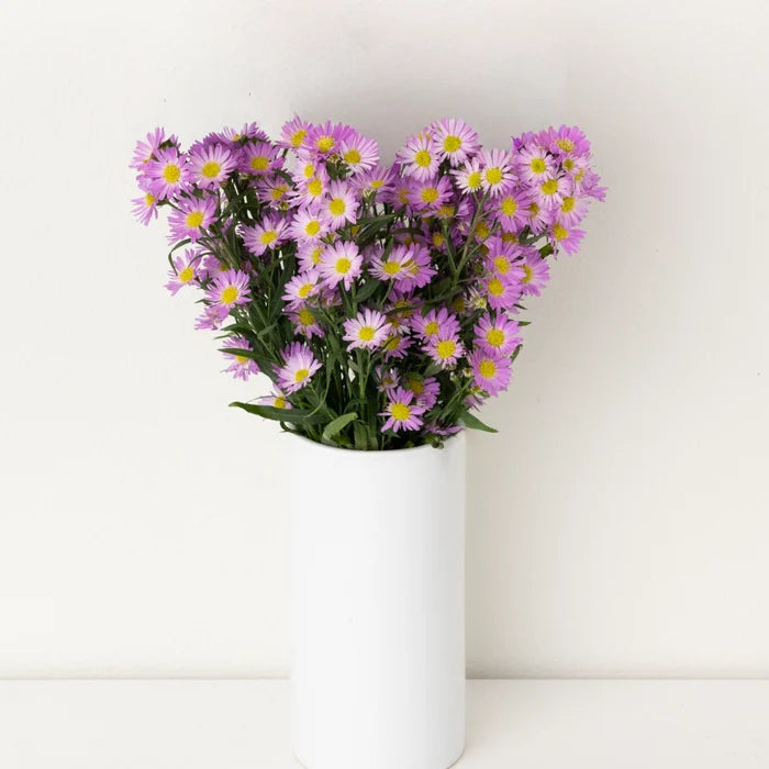 Sugar Plum Pink Spray Aster Flowers Vase - Image