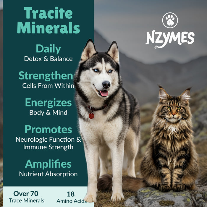 Tracite Minerals for Pets