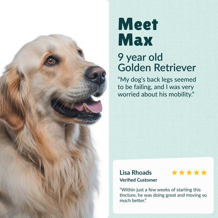 Tracite Minerals for Pets