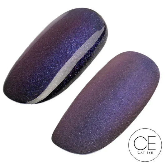 UD Gel Polish - 181 Dark Matter (Cat Eye)-UGLY DUCKLING-Gel Essentialz
