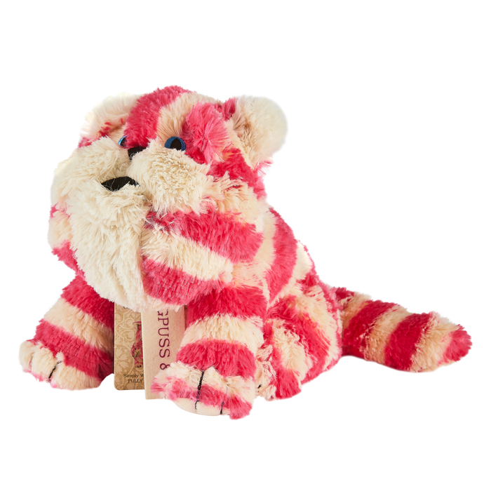 Warmies Plush Microwavable Bagpuss