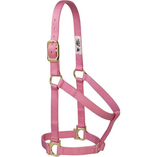 Pink / Small