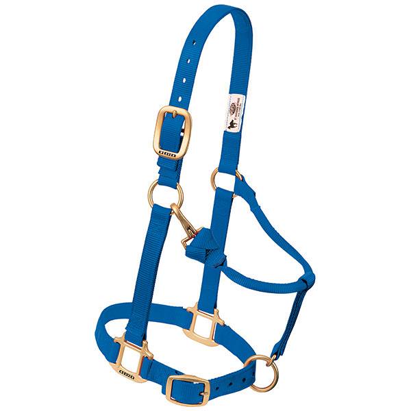 Blue / Large